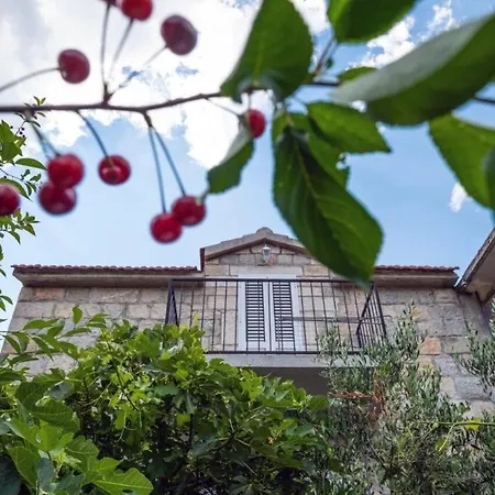 House Jure Nyaraló